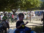 Click to Enter 'PumpkinPatchFishing 005' Page